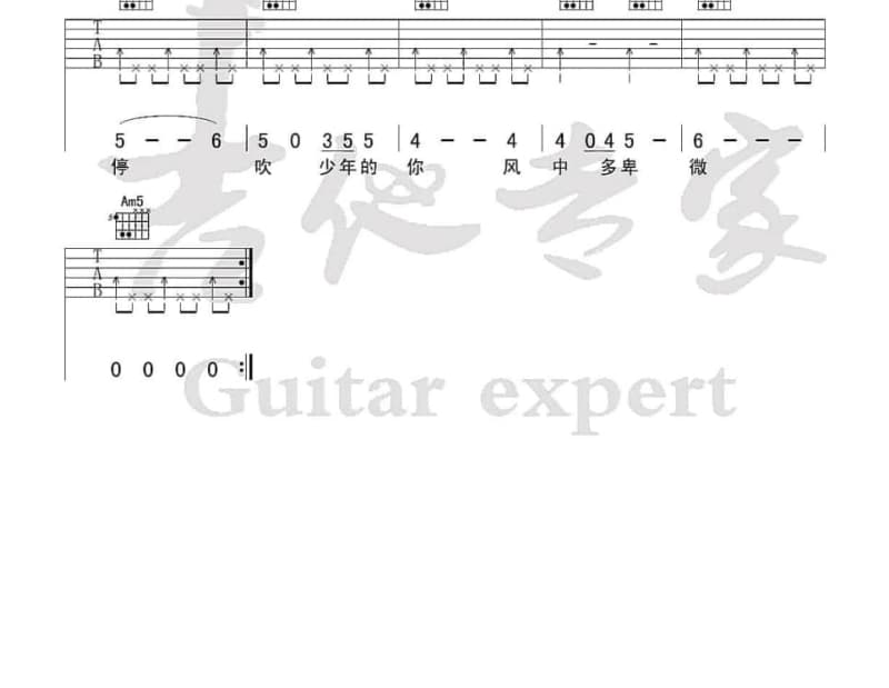 《心在飞》吉他谱_兰卡措