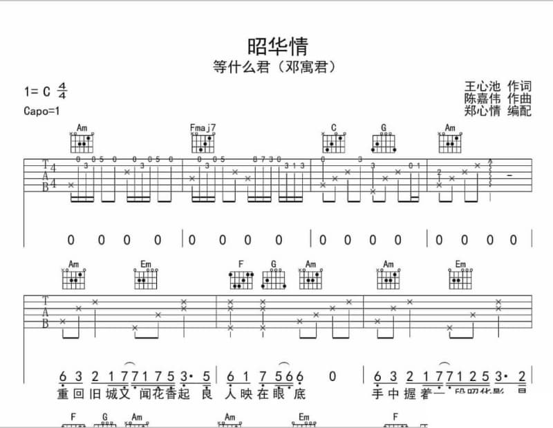 《我愿是一支建兰》吉他谱_金琳