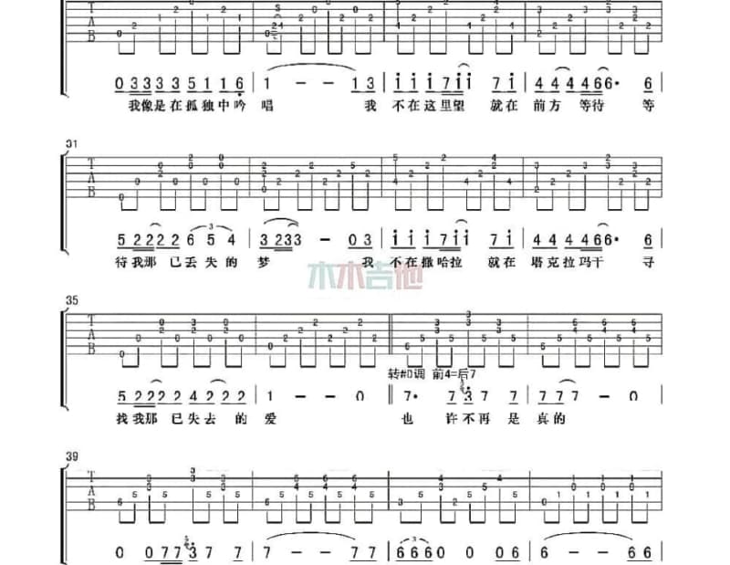 《Singer Songwriter》吉他谱_金玟岐