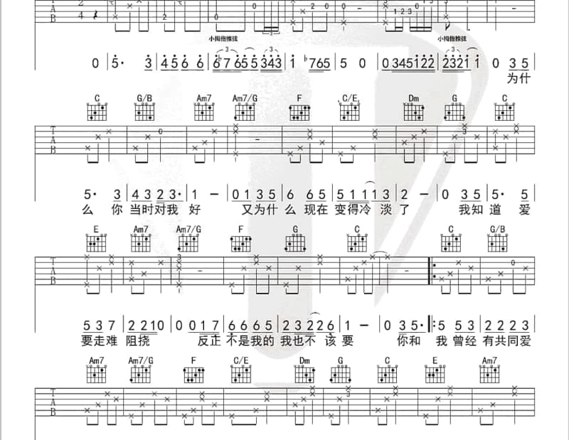 《熊貓与傻瓜》吉他谱_金娃娃