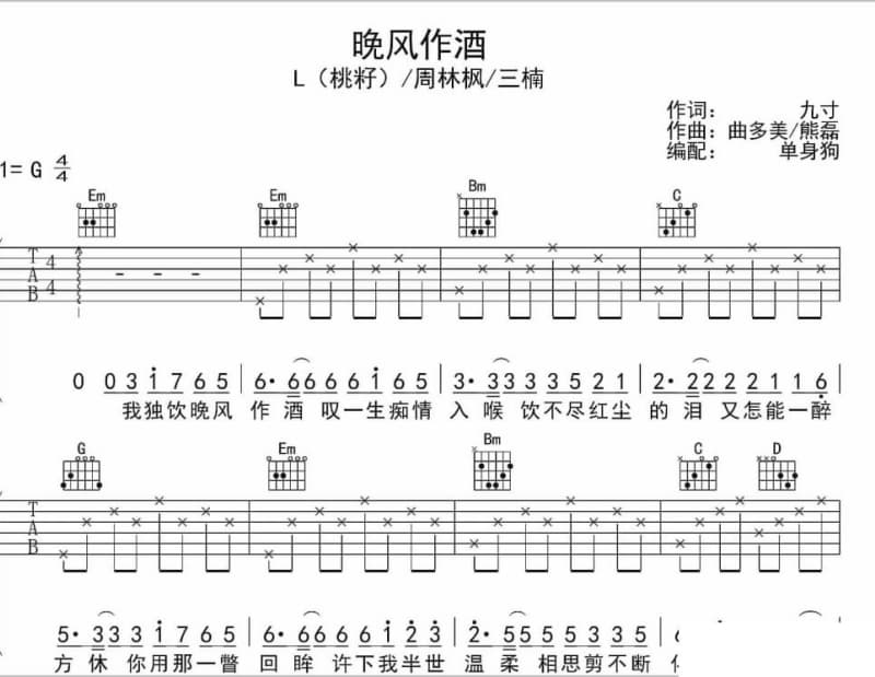 《人生嘉年华》吉他谱_李玲玉