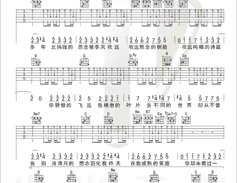 《尾生》吉他谱_李晓珞