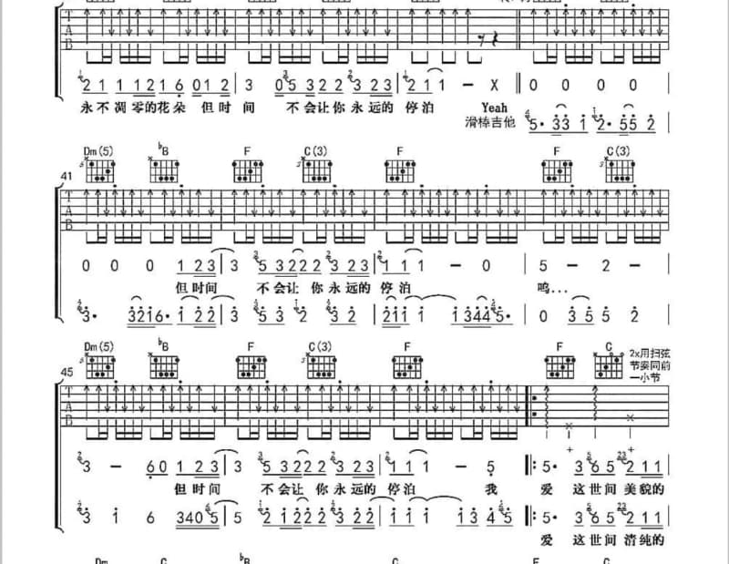 《掉线》吉他谱_麦子
