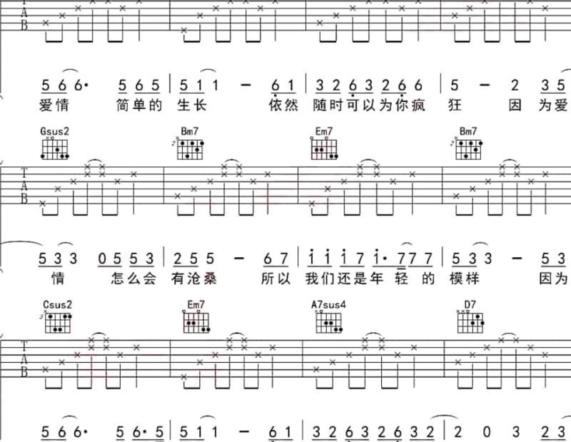 《不再联系》吉他谱_美衫儿