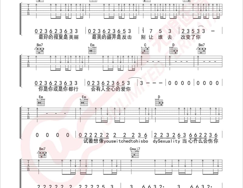 《野花》吉他谱_孟梓