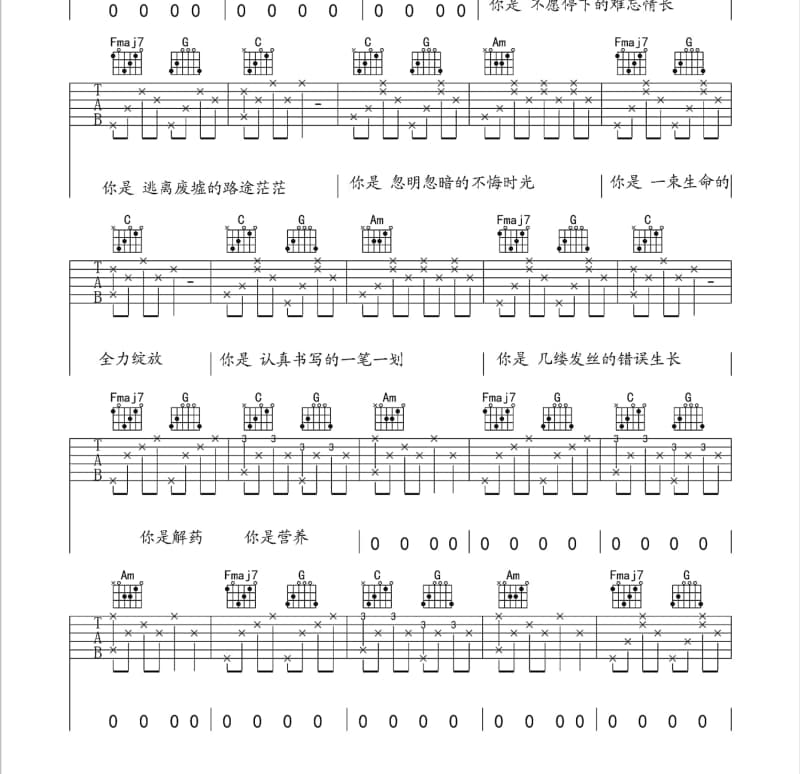 《对花》吉他谱_毛宁