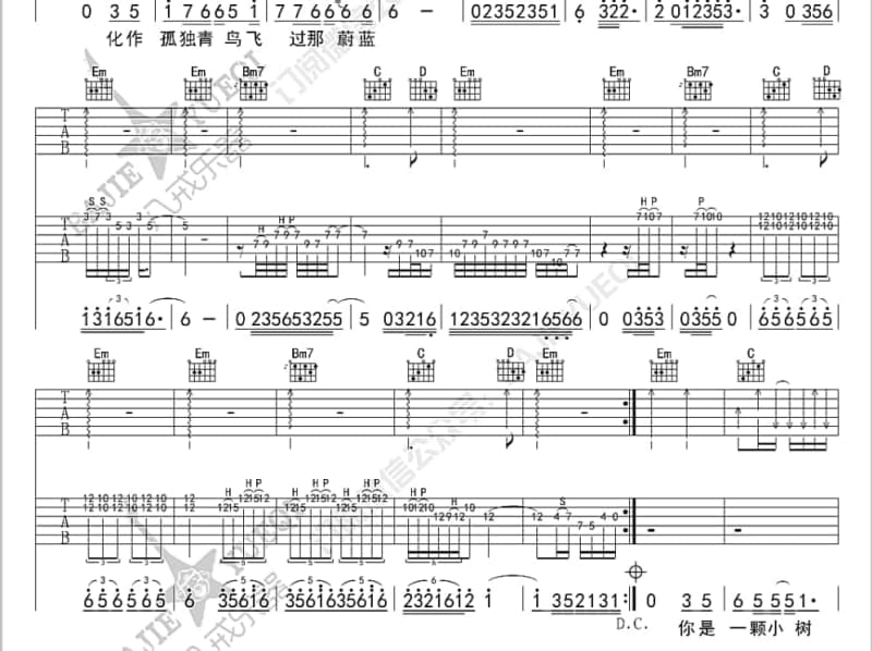 《路边的野花不要采》吉他谱_黄勇