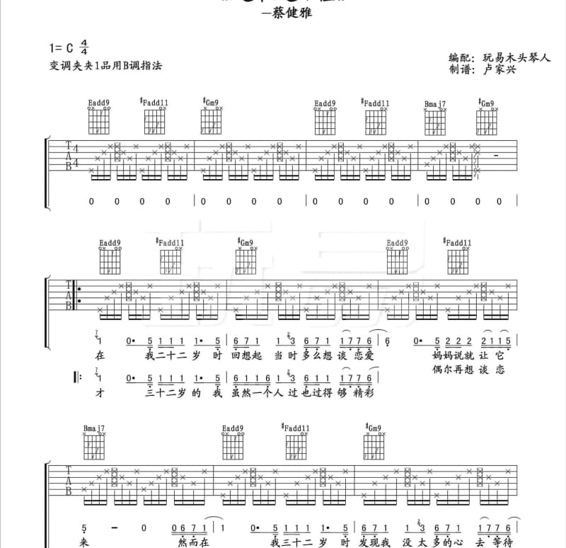 《雪花白》吉他谱_石倚洁