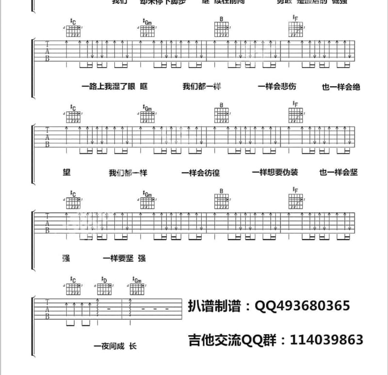 《最美的风采》吉他谱_宋雪莱
