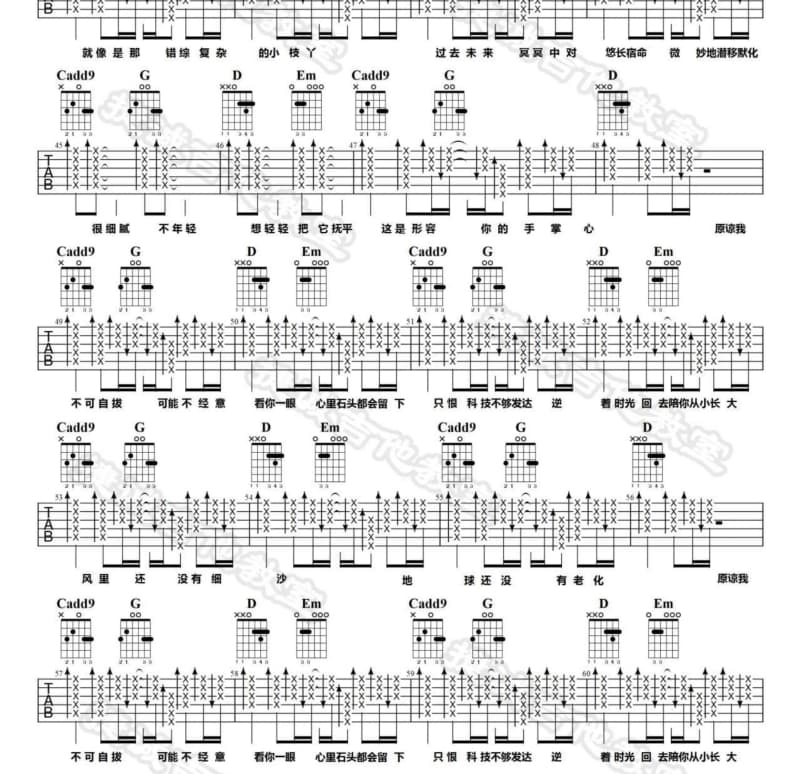 《酒汤》吉他谱_孙子涵