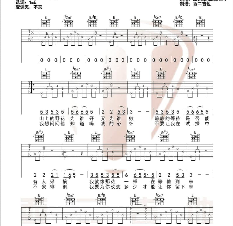 《流浪的牧人》吉他谱_索朗扎西