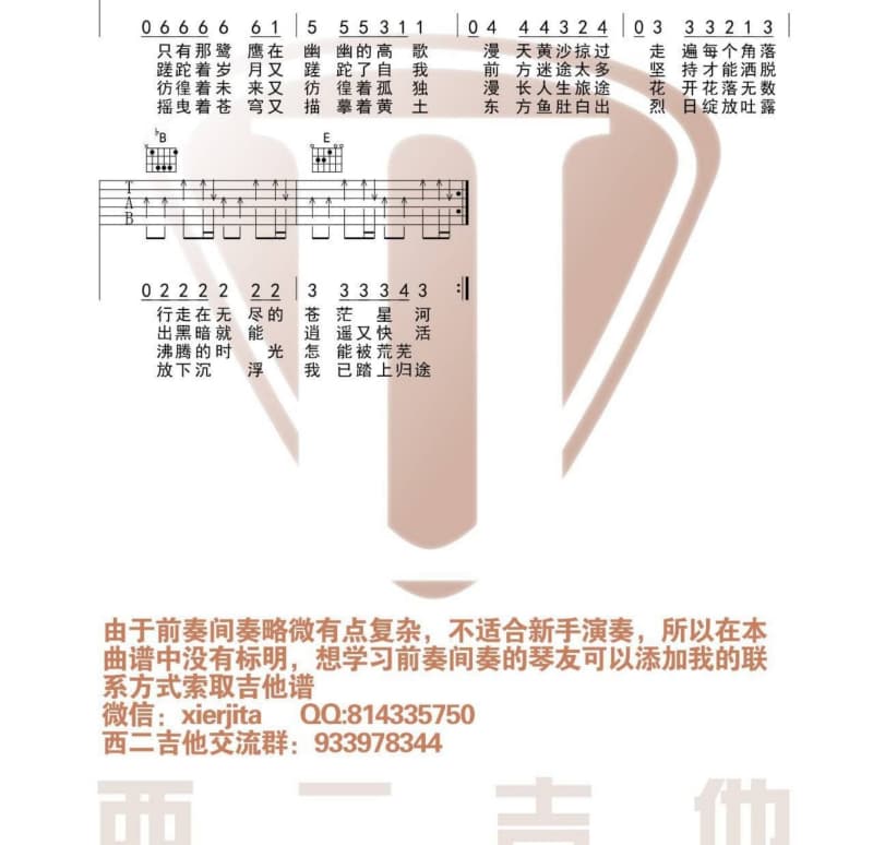 《草原》吉他谱_童安格