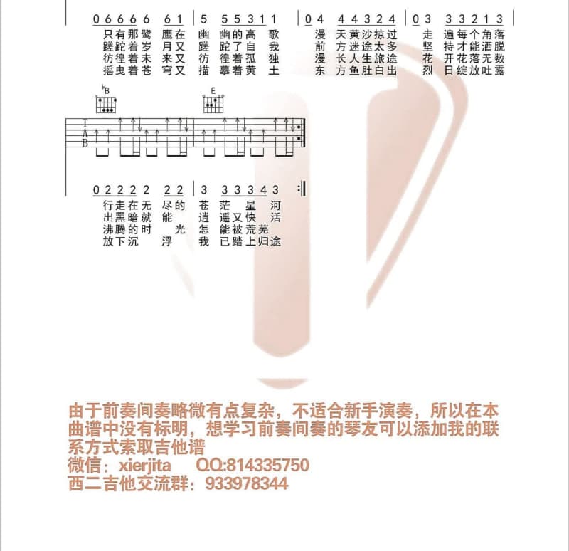 《此情永不留》吉他谱_童安格