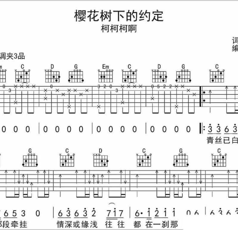 《试着习惯》吉他谱_小沈龙