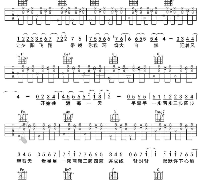 《他的猫》吉他谱_徐良