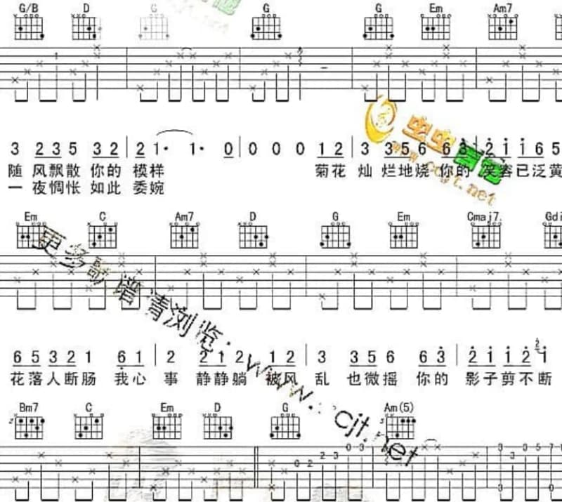 《Crazy Lover》吉他谱_杨和苏KeyNG