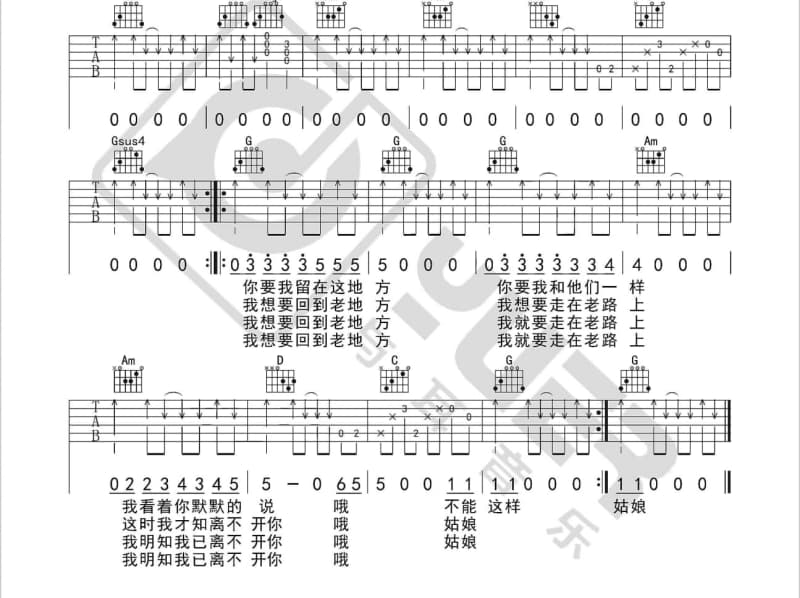《针锋》吉他谱_金弦