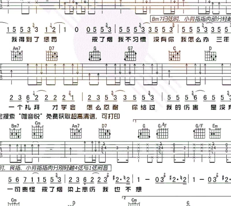 《青藏女孩》吉他谱_泽旺多吉