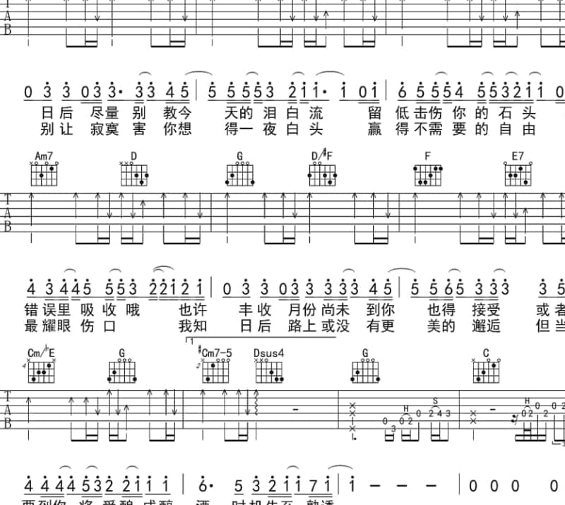 《空巢老人》吉他谱_张海涛