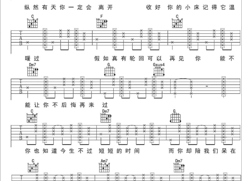 《爱情专卖》吉他谱_井恩然