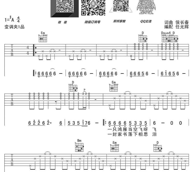 《不想为你再流泪》吉他谱_赵华