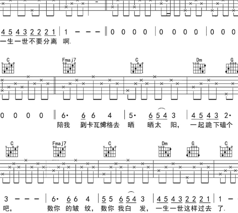 《情人的眼泪》吉他谱_赵鹏