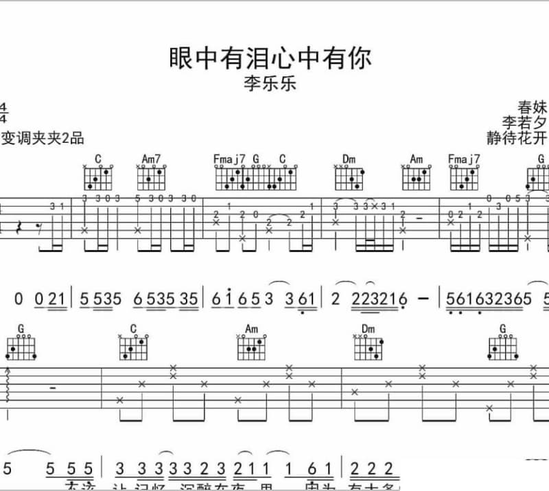 《梦何时醒来》吉他谱_赵齐