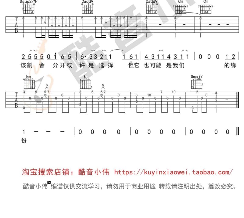 《那些花开的地方》吉他谱_赵照