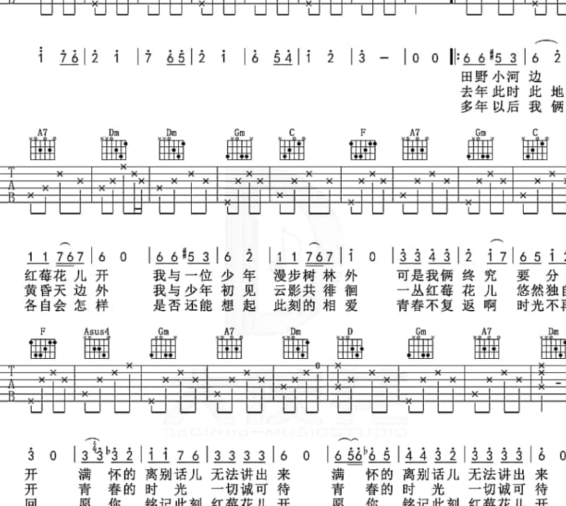 《你是我上辈子苦修来的福》吉他谱_阿东