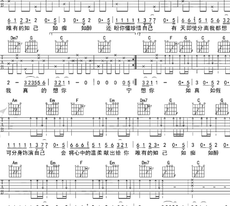 《你不配我的泪dj》吉他谱_付豪