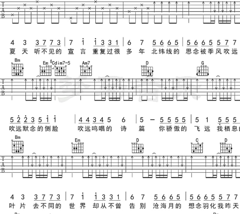 《石头》吉他谱_何晟铭