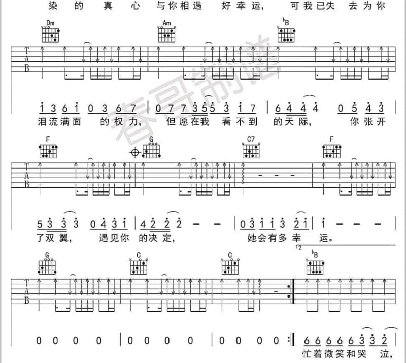 《泛滥》吉他谱_洪学志