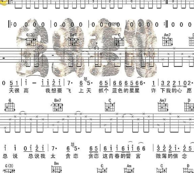 《画风》吉他谱_后弦