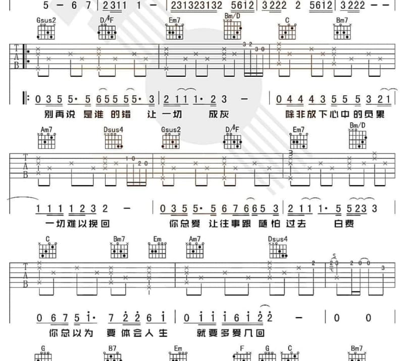 《桂圆》吉他谱_贾立怡
