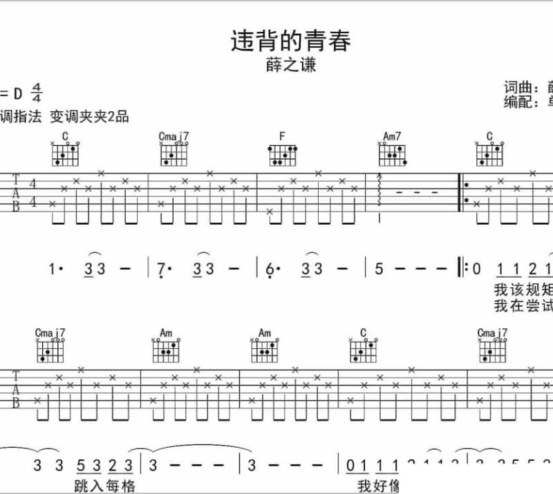 《深情难舍》吉他谱_江蕙