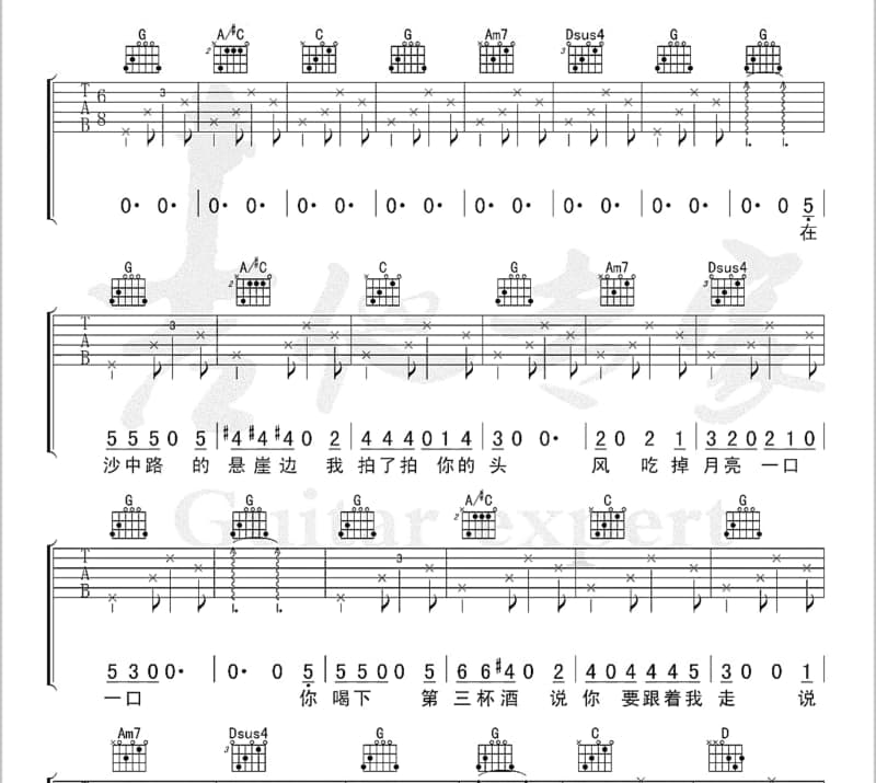 《the wild wind》吉他谱_金城武