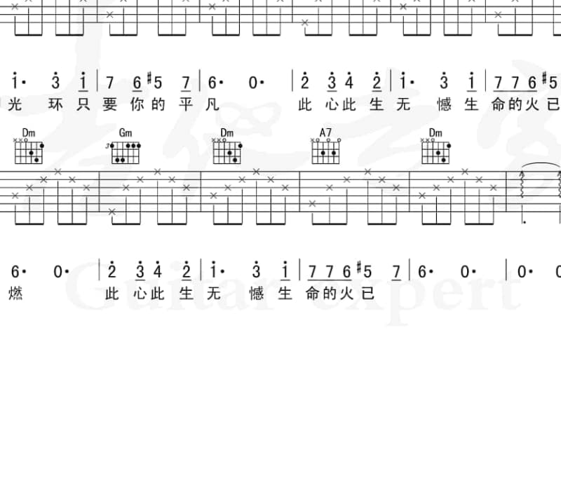 《在地球上》吉他谱_金三宝组合
