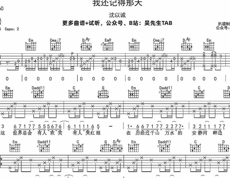 《石头心》吉他谱_林姗