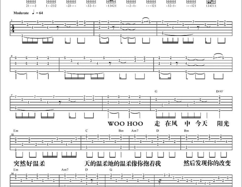 《埋葬流年》吉他谱_安苏羽