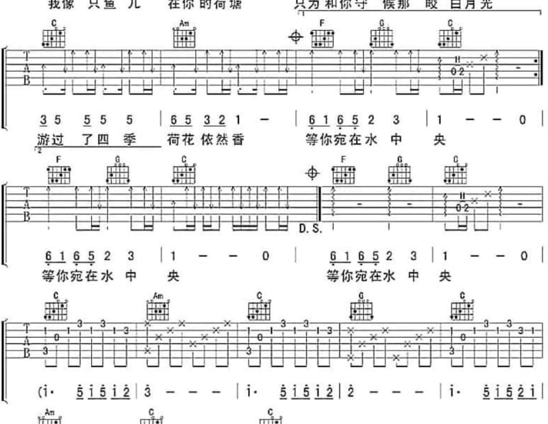 《我的太阳》吉他谱_轮回乐队