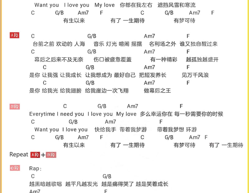 《旧皮箱的流浪儿》吉他谱_罗时丰