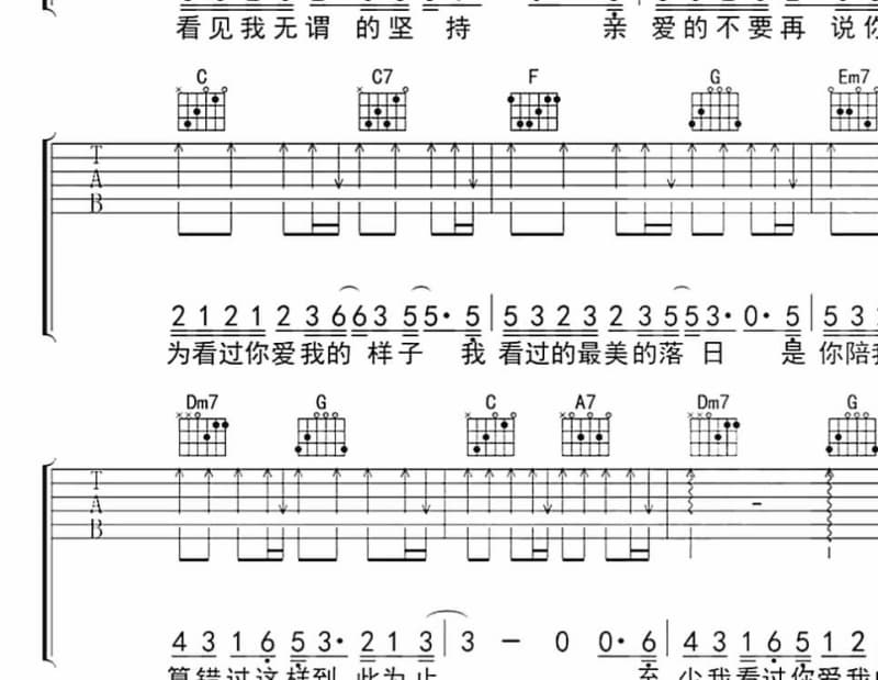 《陪伴你一生》吉他谱_罗时丰