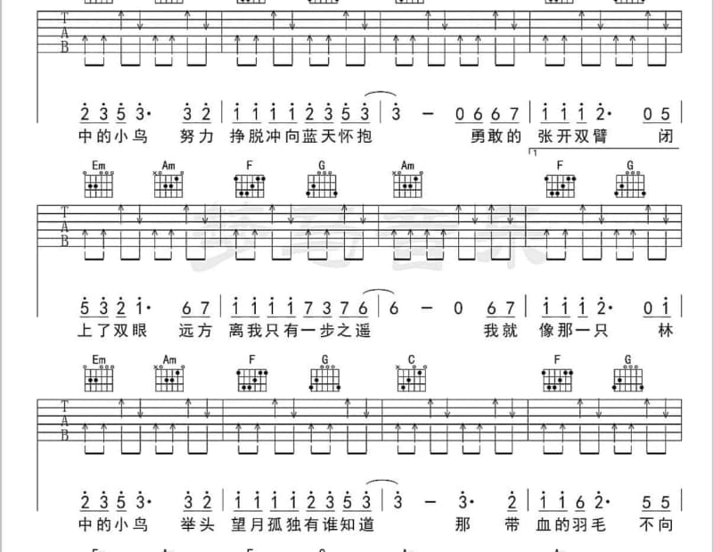 《海湾》吉他谱_麻园诗人