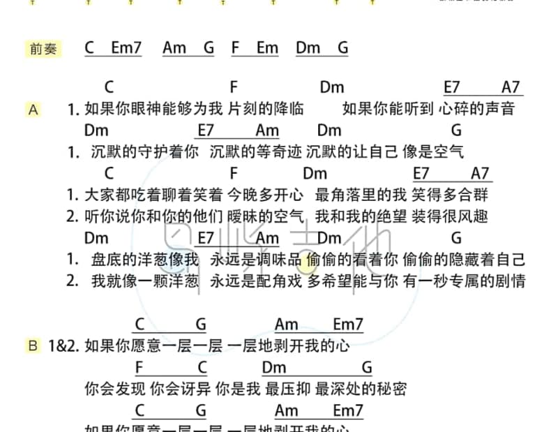 《普普洗衣店》吉他谱_普普乐团