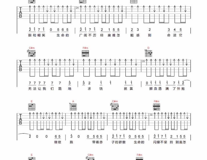 《Silent Symphony》吉他谱_苏珮卿