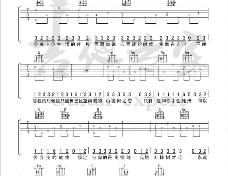 《紫色的梦》吉他谱_随性乐团