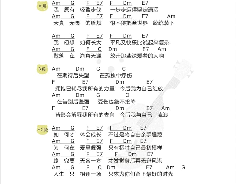 《过眼云烟》吉他谱_王菲