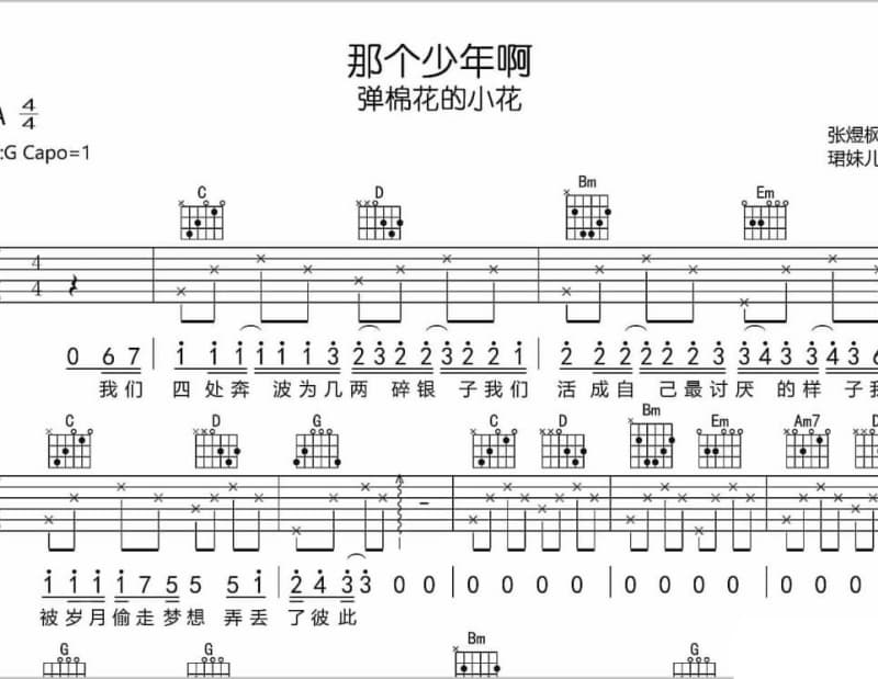 《文化病》吉他谱_衣湿乐队