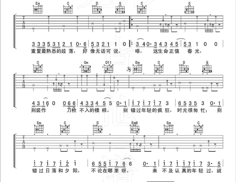 《流浪的感情》吉他谱_张秀卿