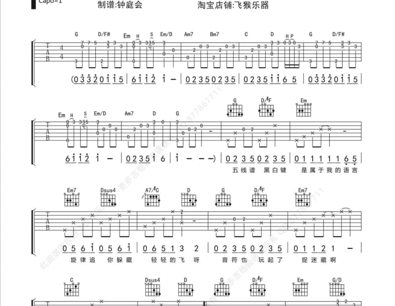 《孤独的夜哨》吉他谱_张震岳